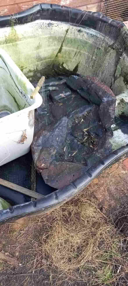 Photo of free Moulded Plastic Pond and waterfall Liners (East Runton NR27) #1