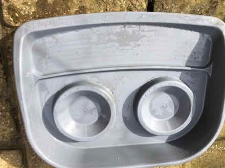 Photo of free Pet / Cat food bowl trays (Pound Hill RH10) #1