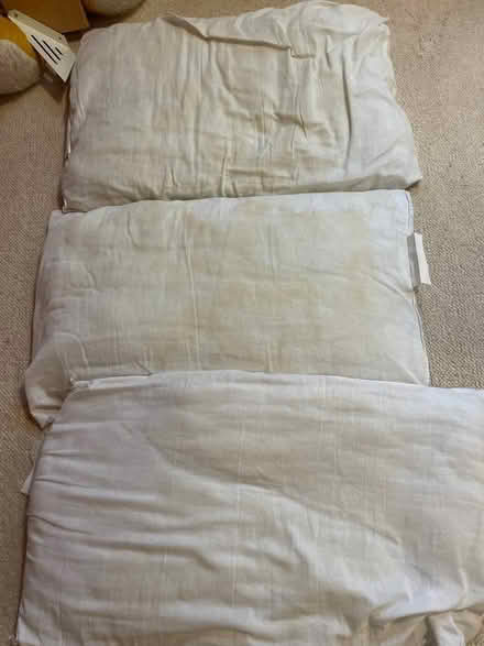 Photo of free Pillows (Whitley SN12) #1