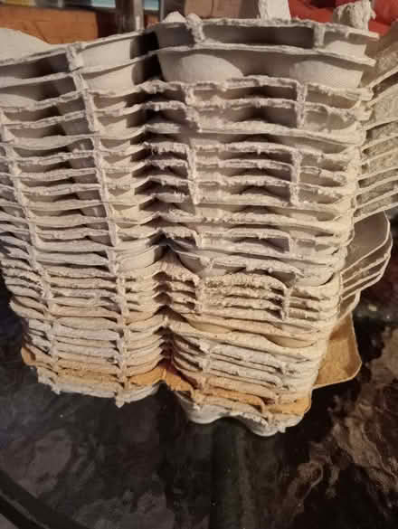 Photo of free Egg cartons (Waldridge Park DH2) #1