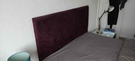Photo of free Purple headboard (Temple Cowley OX4) #1