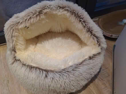 Photo of free Cat igloo (S10 fulwood) #1