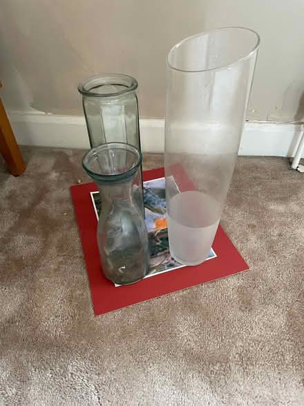 Photo of free Glass vases (BN21) #1