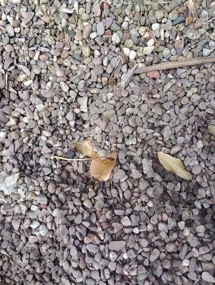 Photo of free Uninspiring gravel (Walkley S6) #1
