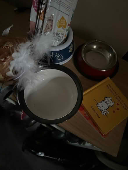 Photo of free Cat stuff (AB24) #1
