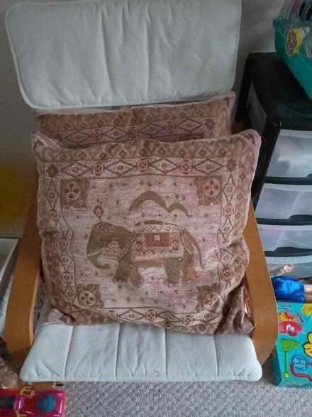 Photo of free Big Cushions x2 (DE72 Long Eaton) #1