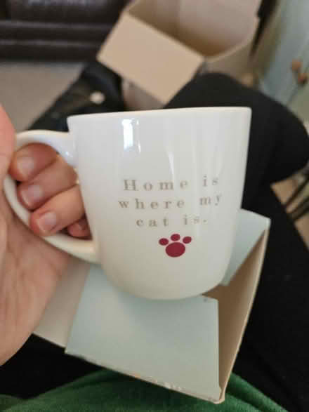 Photo of free Cat mug brand new (Clevedon BS21) #1