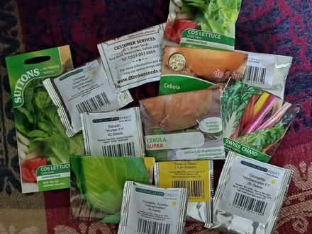 Photo of free Veg seeds (Galmpton TQ5) #1