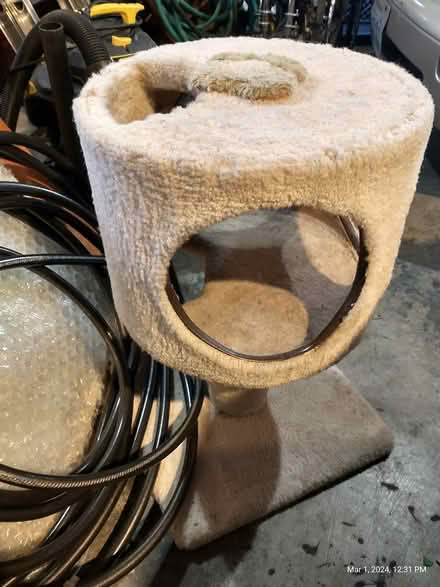 Photo of free cat tree, cat beds, kibble (Everett, WA near Silver Lake) #1