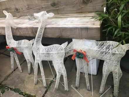 Photo of free Christmas Reindeer Decoration (Higher Bebington CH63) #1
