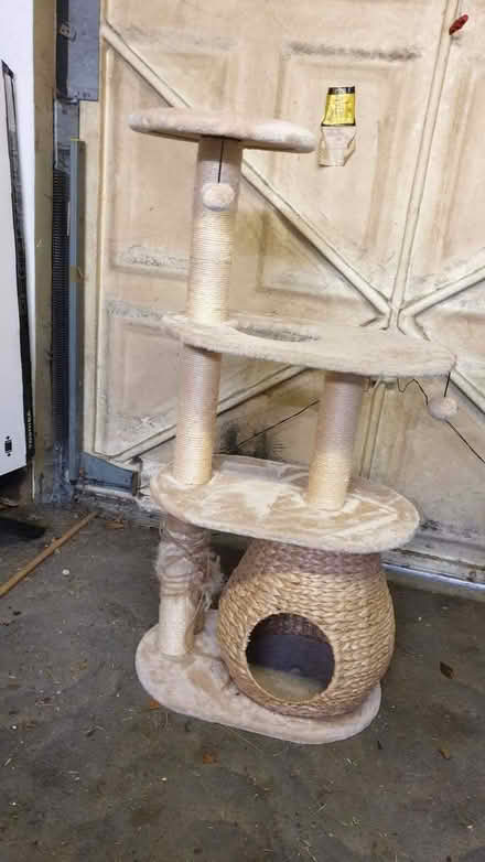 Photo of free Cat Tree (Braintree CM7) #1