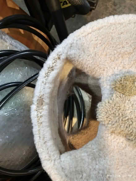 Photo of free cat tree, cat beds, kibble (Everett, WA near Silver Lake) #2