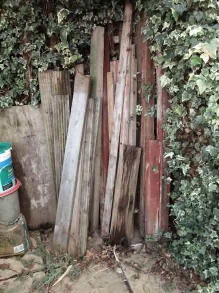 Photo of free assorted collection of timber and wood offcuts (Woodley RG5) #2
