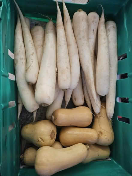 Photo of free excess food (UB5) #1