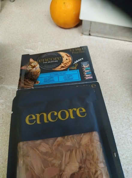 Photo of free Cat Food (South Ockendon RM15) #1