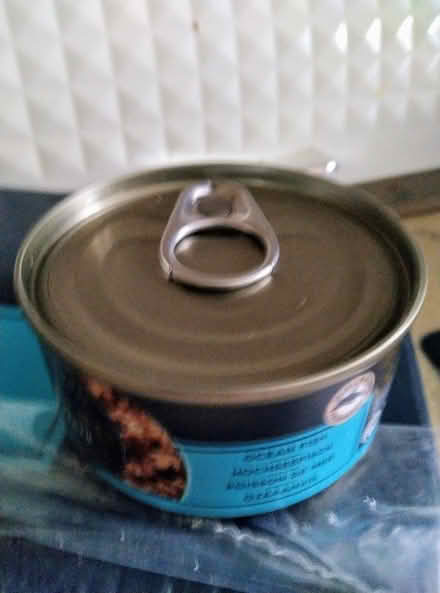 Photo of free Cat Food (South Ockendon RM15) #4