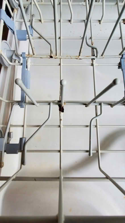 Photo of free Maytag Working Dishwasher (Belmont) #3