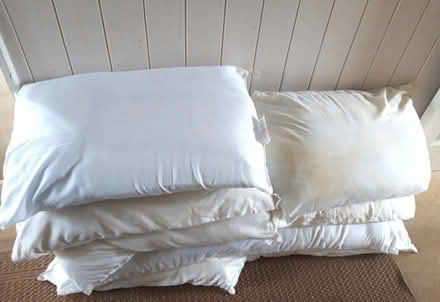 Photo of free Pillows (Eynsham OX29) #1