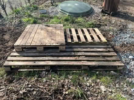 Photo of free Pallets (Bush EX23) #1