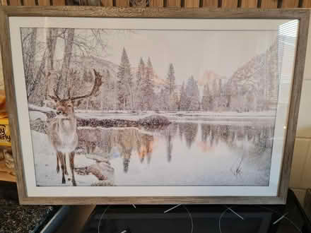 Photo of free Framed Picture (Acklam TS5) #1