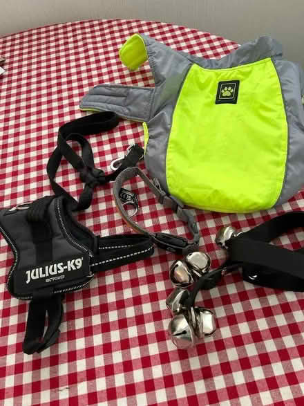 Photo of free Small dog/puppy stuff (Childwall L25) #1