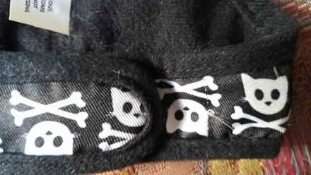 Photo of free Cat's harness (Aigburth L17) #1