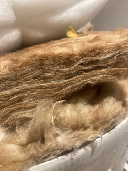 Photo of free Loft insulation (Oxford OX3) #1