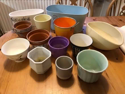 Photo of free Variety of plant pots (Lexden CO3) #1