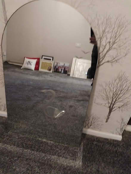 Photo of free Large mirror (Fordbridge B37) #1