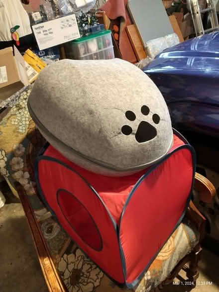 Photo of free cat tree, cat beds, kibble (Everett, WA near Silver Lake) #4