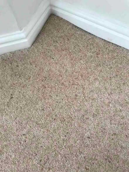 Photo of free Carpet - Oatmeal Colour (Hadfield SK13) #1