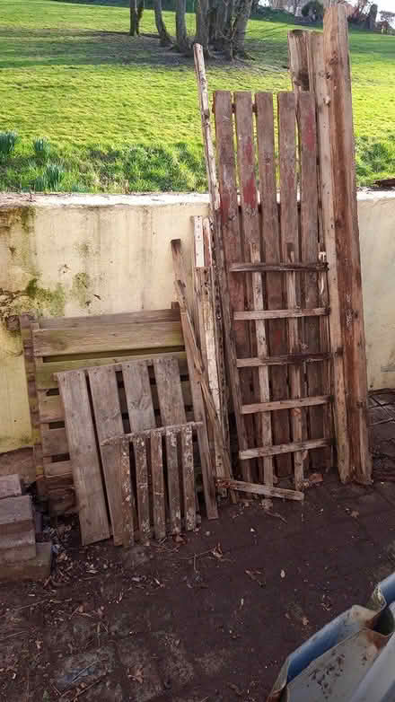 Photo of free Fire wood (Cockermouth) #1