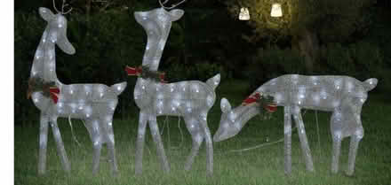 Photo of free Christmas Reindeer Decoration (Higher Bebington CH63) #3