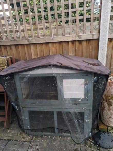 Photo of free Hutch for two small guinea pigs (E14, Millwall) #2
