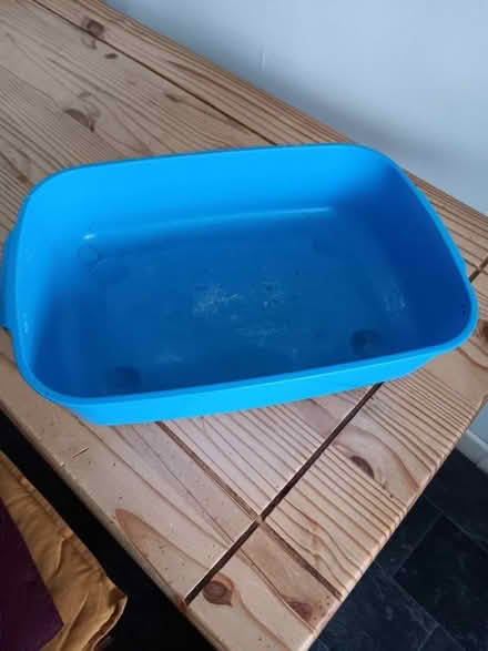 Photo of free Cat/kitten accessories (Harborne B17) #2