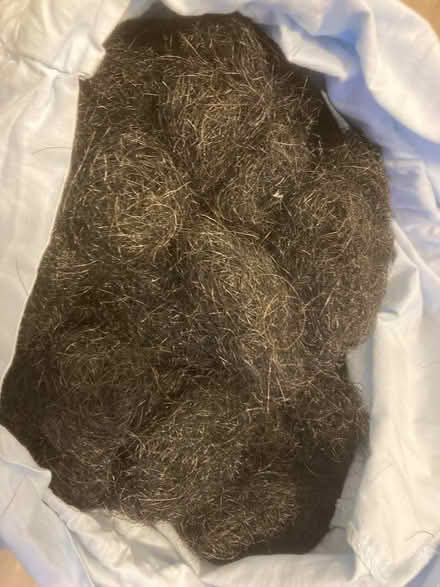 Photo of free Horse hair (Fairmilehead EH10) #1