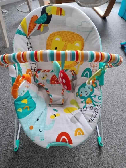 Photo of free Baby bouncer Chad Valley (Gorgie EH11) #1