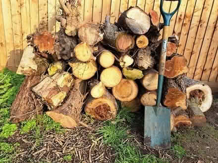 Photo of free Large logs (Moggerhanger MK44) #1