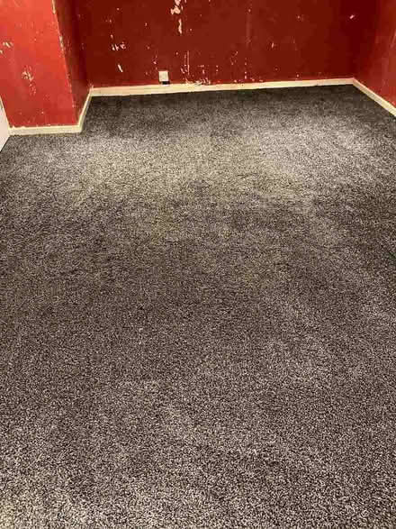Photo of free Black and white thick pile carpet (Queens Park BH8) #3