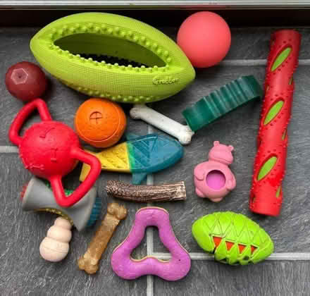 Photo of free Dog Toys (St. Marys Island ME4) #1