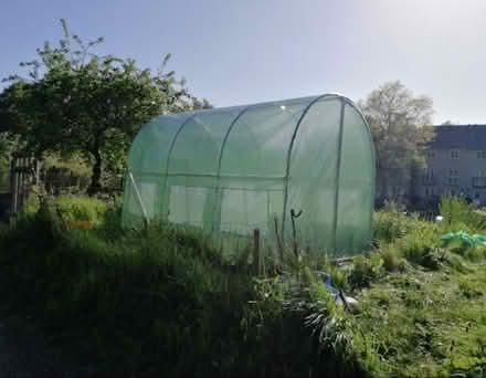 Photo of free Polytunnel 2x3m in need of tlc (Bowerham LA1) #3