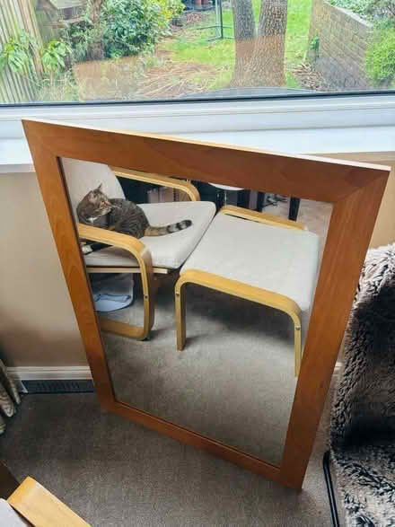 Photo of free Mirror (Welling DA7) #1