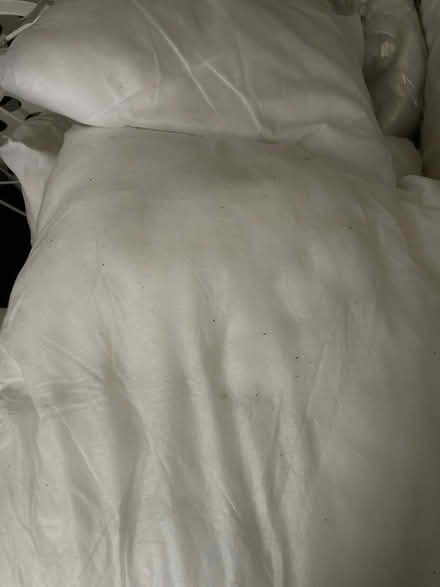 Photo of free cushions (DE1) #1