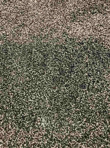 Photo of free Black and white thick pile carpet (Queens Park BH8) #4