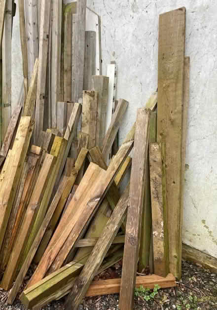 Photo of free Wood (Hayling Island PO11) #1