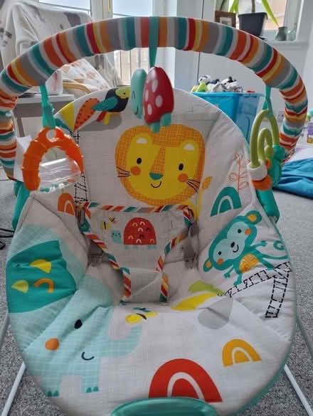Photo of free Baby bouncer Chad Valley (Gorgie EH11) #2