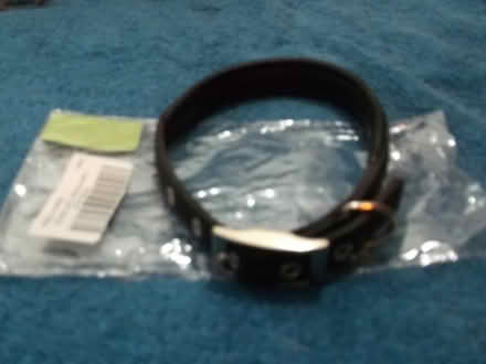 Photo of free dog collar (Ainsdale PR8) #1