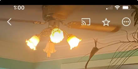 Photo of free Ceiling fan (Rebel Walk Drive) #4