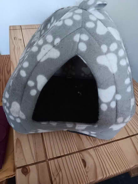 Photo of free Cat/kitten accessories (Harborne B17) #1