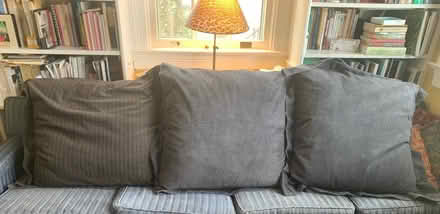 Photo of free Large Couch Pillows (North Cleveland Park) #1